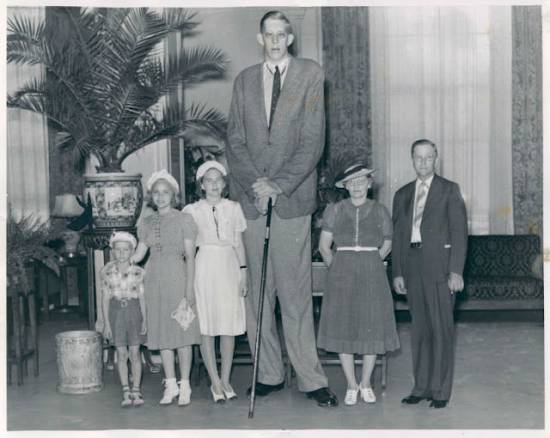 The tallest people in the world and in history