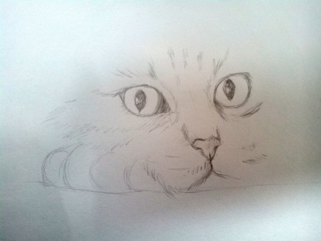 Cum Să Desenezi O Pisică Cu Un Stilou In Etape Cum Să Atragă O